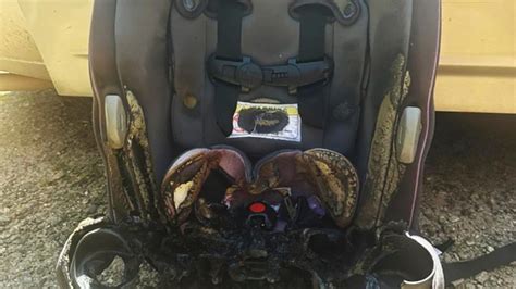 reddit sports book|Children's book to blame for fire inside car, North .